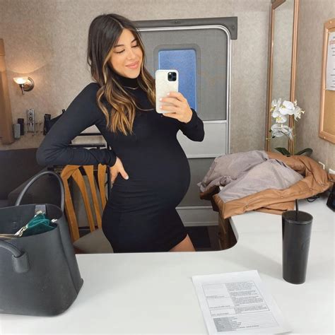 daniella monet bikini|Pregnant Celebrities Show Off 3rd Trimester Baby Bumps in Bikinis